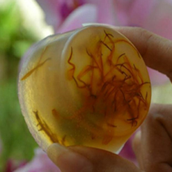 Jabón artesanal de Caléndula